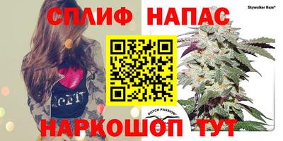 PSILOCYBIN Будённовск