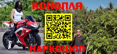 сатива Бугуруслан
