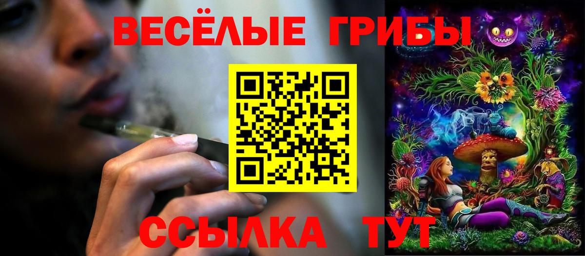 Галлюциногенные грибы MAGIC MUSHROOMS  Вход с VPN  Ртищево 