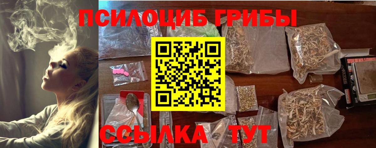 Псилоцибиновые грибы мицелий Ртищево